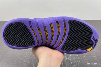 Jordan 739 Retro CT8013-057 EasyMatch Air 12 1117